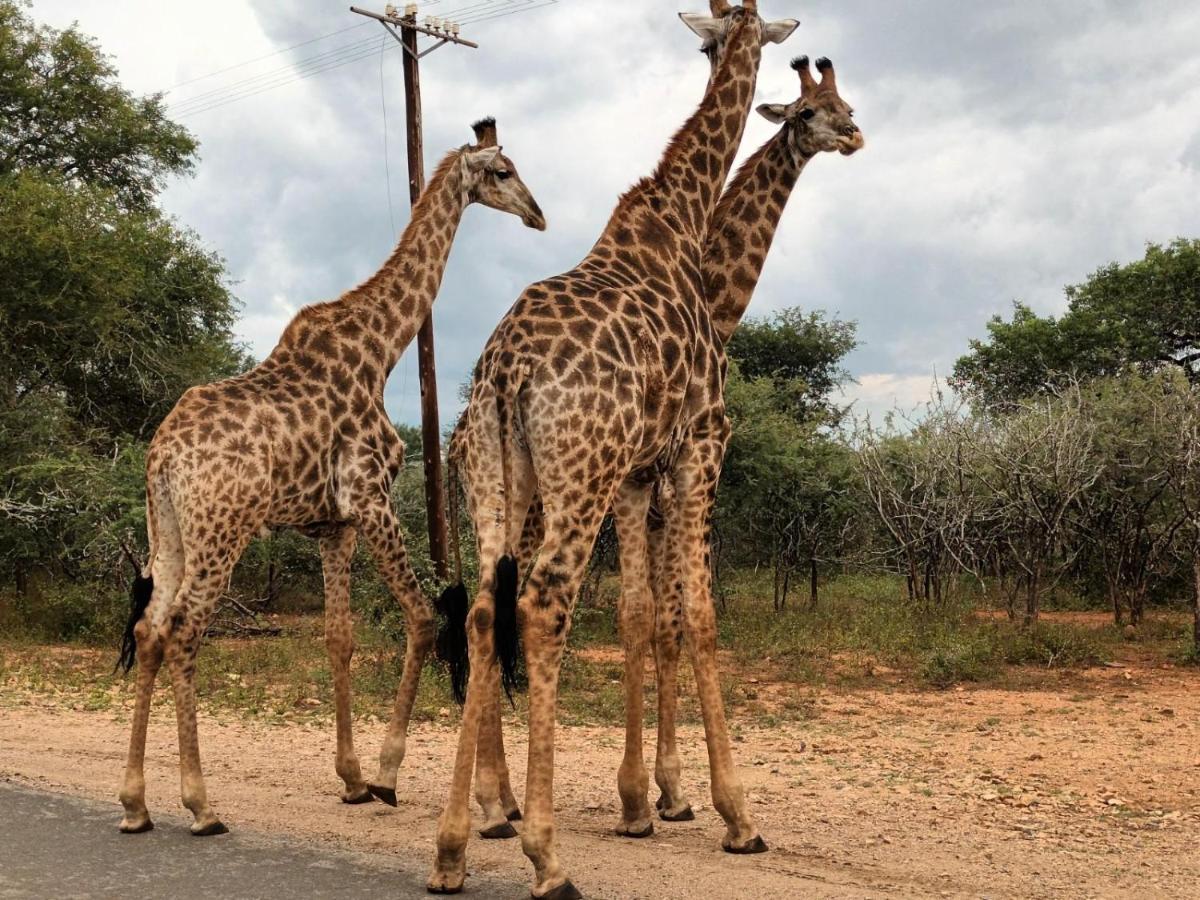 South Safari Lodge Marloth Park Exterior photo
